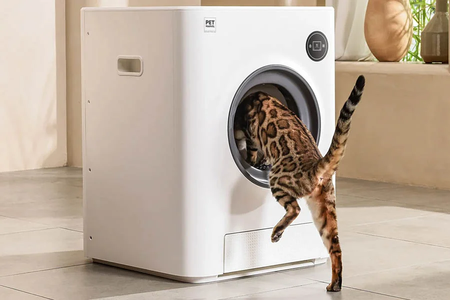 mechanical litter box